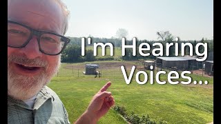 I Am Hearing Voices - We Need To Get This Right
