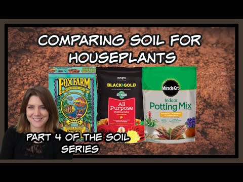 COMPARING HOUSEPLANT SOIL/INDOOR POTTING MIX: FOX FARMS/BLACK GOLD/MIRACLE GRO:  Part 4- Soil Series