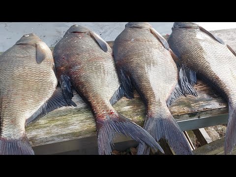 Lahnan kalastusta 10-12.5.2023