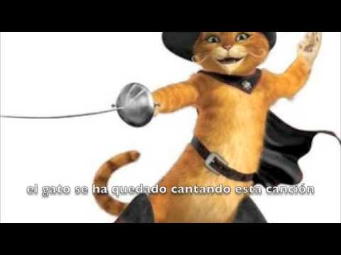El Gato Viudo