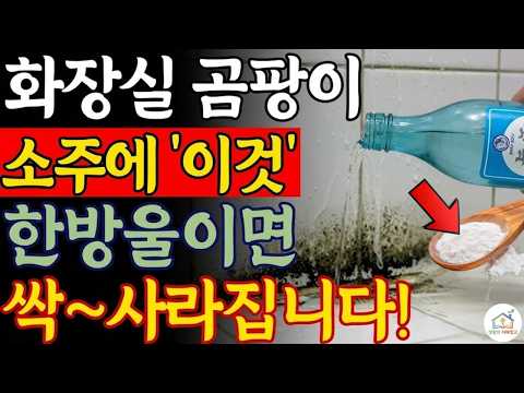 락스 제발 버리세요! 소주에 '이것' 섞으면 10초 만에 곰팡이 소멸