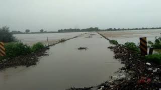 preview picture of video 'Rajura-Ballarpur Wardha River Flood'