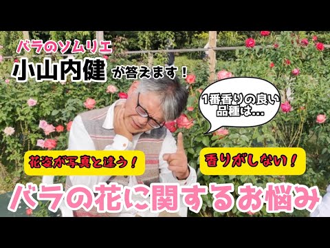 園芸 藤に関するよくある質問