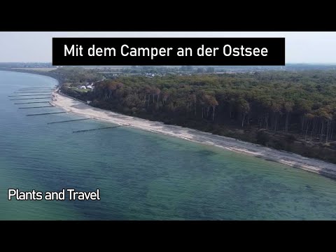 Es wird scharf geschossen am Gespensterwald. Ostsee, Heiligendamm und Nienhagen.