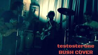 Testosterone Bush cover