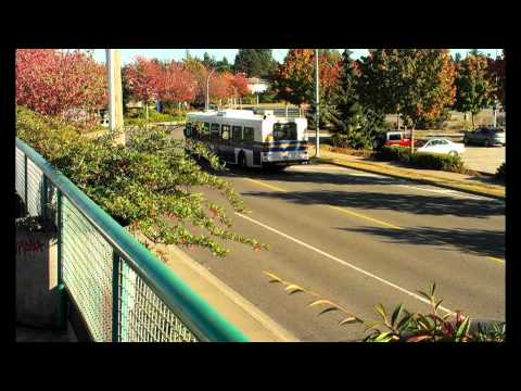 Buses in Langley Volume 2