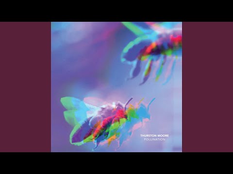 Video thumbnail for Pollination