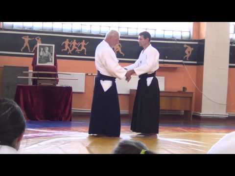 Aikido Stéphane Benedetti.Lisichansk 18-20 September 2015.part 2