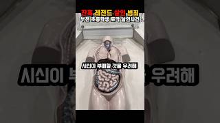 Download lagu 부천 초등학생 토막 살인사건 mp3