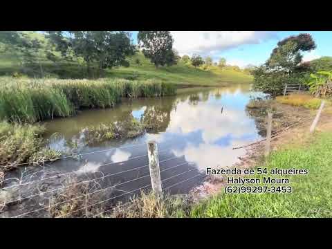 Fazenda de 54 alqueires➡️ Aproximadamente 261,36 hectares R$ 250.000 por alq