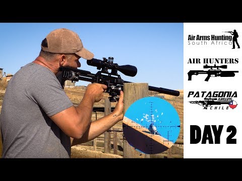 Pigeon Hit Squad Strikes Again