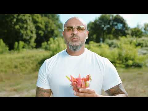 Al Massiva - Löwenherz by Massiv