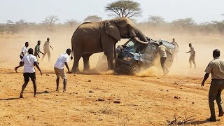 Download lagu Safari Trips Went Horribly Wrong mp3