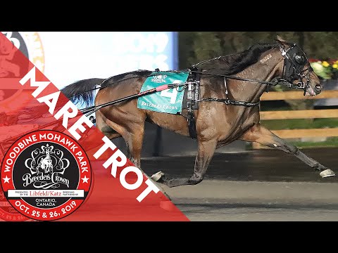 2019 Breeders Crown - Manchego - Mare Trot