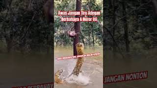 Download lagu Jangan Tiru Adegan Berbahaya Ini Yang Jantungan Jangan Nonton mp3