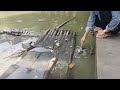 VISIT RARE TURTLE CONSERVATION Turtle Animals Yongsieutv Mo4ke