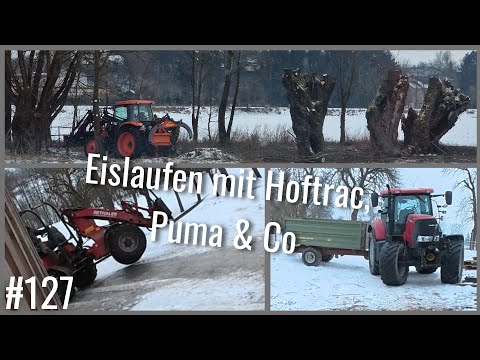 Riesige Bäume & der Kampf um die Traktion | Vlog #127