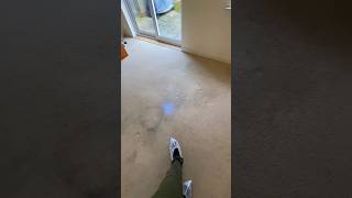 Preview of professional carpet cleaning transformation from drab to fab #carpetcleaning #chichester.