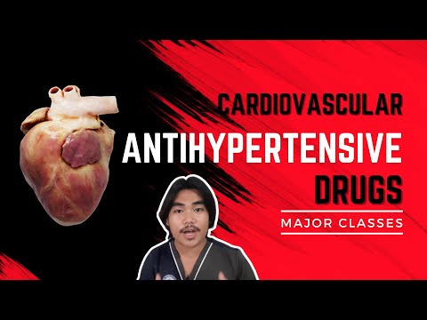VET PHARMA 2 | Antihypertensive Drugs: Major Classes | Module 16.4 (Student Output)