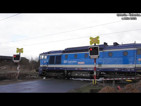 železniční přejezd Smiřice - P5221 / 05.03.2023 / Czech railroad crossing