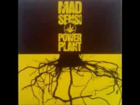 CULTURE T - HIGH GRADE WEED - ANIMAL RIDDIM MAD SENSI