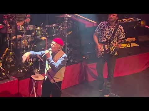 Drukwerk  -  onder mijn dak live in paradiso 2026