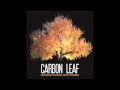 Mexico - Carbon Leaf