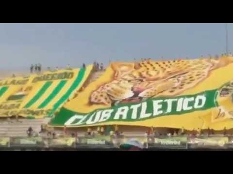"Himno de santander + tapatribuna en barrancabermeja, FORTALEZA LEOPARDA SUR 2016" Barra: Fortaleza Leoparda Sur • Club: Atlético Bucaramanga