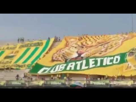 "Himno de santander + tapatribuna en barrancabermeja, FORTALEZA LEOPARDA SUR 2016" Barra: Fortaleza Leoparda Sur &bull; Club: Atlético Bucaramanga