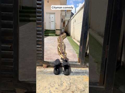 Why we must pray #viralshort #comedy #subcribe #funny #everyone