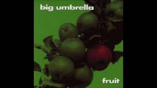 Big Umbrella - Joy