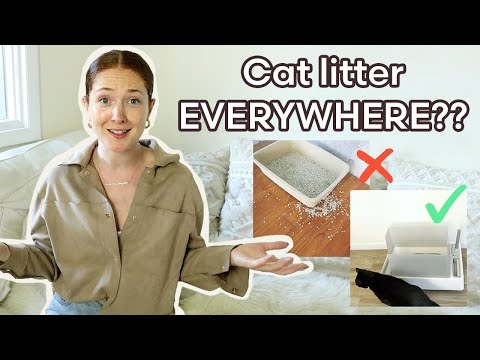 How to Prevent Litter Tracking - The Complete Guide with Solutions
