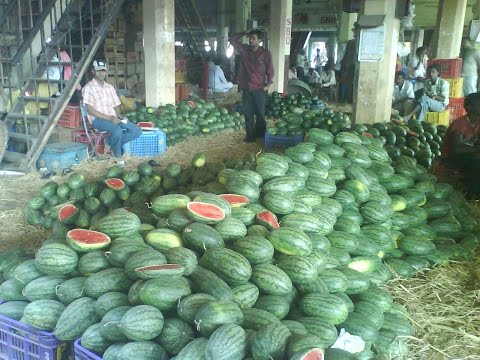 download lagu mp3 mp4 Apmc Fruit Market Vashi, download lagu Apmc Fruit Market Vashi gratis, unduh video klip Apmc Fruit Market Vashi