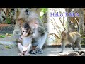 Wow Very Cute Baby GINA Hand Up Say Hello To PAPA When See Papa Come To Near Her So Sweet Heart