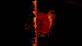 Theatre of Tragedy - Poppaea (Subtítulado).