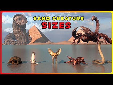 How BIG are DESERT Animals? 🐪 Real vs Movie Sand Creature Size Comparison 3D