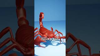 Download lagu What if a Scorpion Stings You 😱 #3d #3danimation #scorpion mp3 Download lagu What if a Scorpion Stings You 😱 #3d #3danimation #scorpion mp3