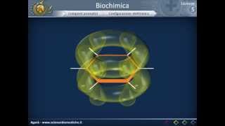 Biologia 05 - Nozioni di biochimica strutturale