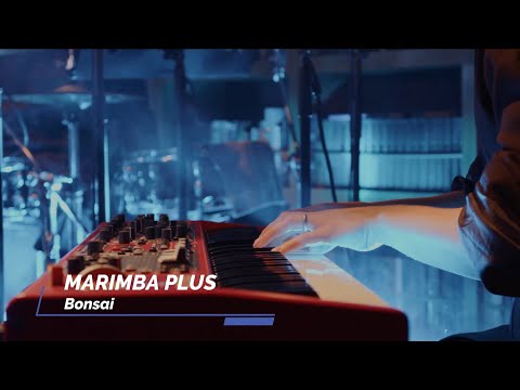 Marimba Plus - Bonsai