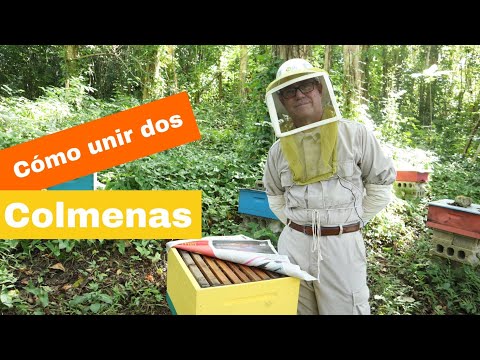 , title : 'como unir dos colmenas de abejas'