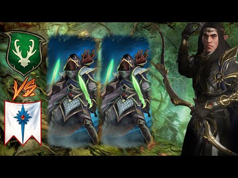 Shadow Walker & Alith Anar BOUNTY ATTEMPT | High Elves vs Wood Elves - Total War Warhammer 3