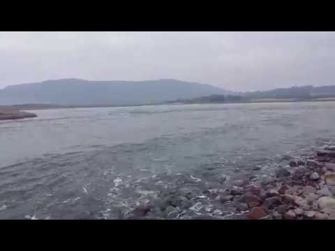The Breech Porlock Marsh Flood Tide Nature Film