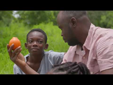 ISSOUF COMPAORE    ZAAK VIM