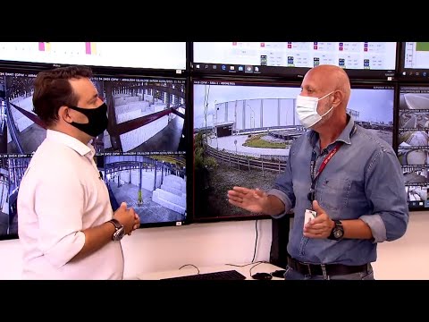 Programa Porto 360° -  Operações de Celulose na DP World Santos