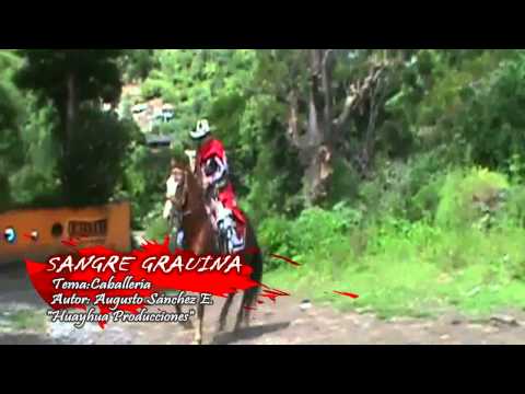 CONJ. SANGRE GRAUINA - CABALLERIA