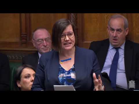 103 Meg Hillier MP - 29 March 2019 - UK Parliament times