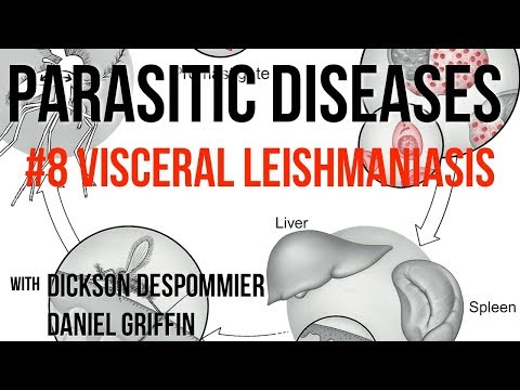 Parasites Without Borders, Parasitic Diseases Lectures #8: Visceral Leishmaniasis Leishmaniasis