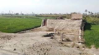 Download lagu XXL XXL XXL XXL FREESTYLE 2024 💕 |XXL 2025 | Xxwd5000xa | XXL XXL XXL XXL FREESTYLES mp3 Download lagu XXL XXL XXL XXL FREESTYLE 2024 💕 |XXL 2025 | Xxwd5000xa | XXL XXL XXL XXL FREESTYLES mp3