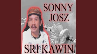 Download lagu Sri Kawin mp3