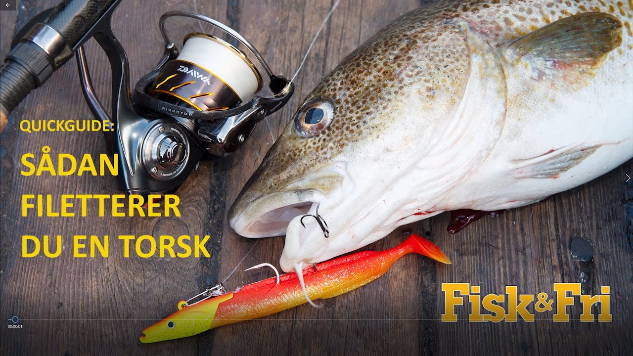QUICKGUIDE: SÅDAN FILETTERER DU EN TORSK